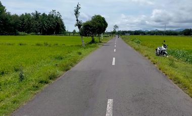 JUAL TANAH KULONPROGO DI BUMIREJO LENDAH