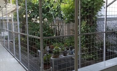 Jual Cepat Rmh Pusat Kota Cirebon, LT. 560, kawasan Keraton,