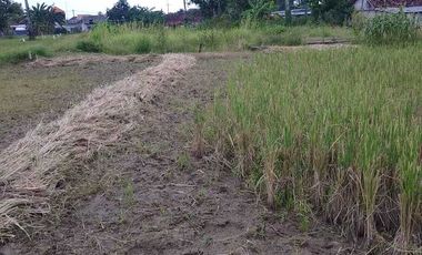 Tanah dijual dekat wisata lontar 1000 UK 6 x 12