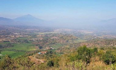 Tanah pertanian kopi, sorgum, kayu atau peternakan