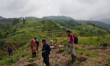 Tanah pertanian kopi, sorgum, kayu atau peternakan