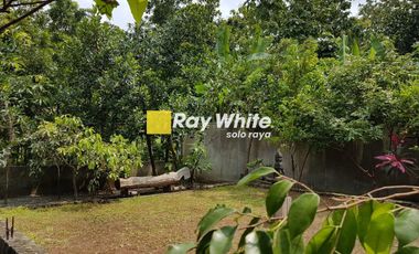 Dijual Rumah Klasik Pinggir Waduk Cengklik Cocok Untuk Resto