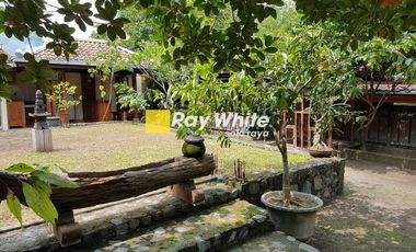 Dijual Rumah Klasik Pinggir Waduk Cengklik Cocok Untuk Resto