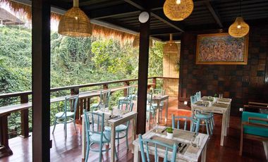 Brand new joglo villa with beautiful jungle view