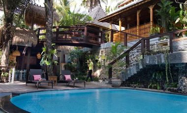 Brand new joglo villa with beautiful jungle view