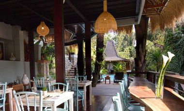 Brand new joglo villa with beautiful jungle view