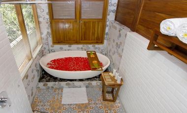 Brand new joglo villa with beautiful jungle view