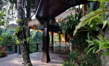 Brand new joglo villa with beautiful jungle view