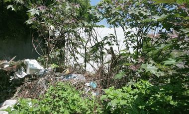 Se vende terreno en San Pedro Martir construye la casa de tus sueños