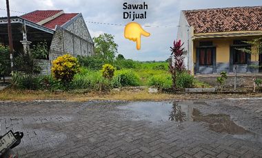 Tanah sawah dekat pasar balong panggang