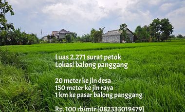 Tanah sawah dekat pasar balong panggang
