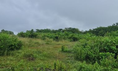 DIJUAL LAHAN 30 ARE OCEAN VIEW UNGASAN BALI