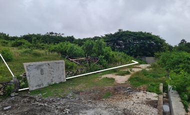 DIJUAL LAHAN 30 ARE OCEAN VIEW UNGASAN BALI