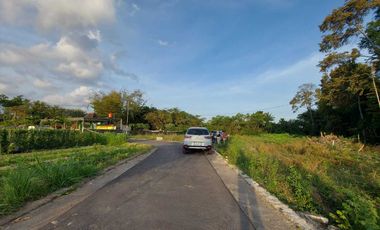 Area Purwomartani, Tanah Jogja Murah 160 Jutaan, SHM P