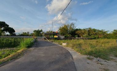 Area Purwomartani, Tanah Jogja Murah 160 Jutaan, SHM P