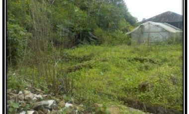 DIJUAL RUMAH 1 LANTAI DI PERUMAHAN CIATER VILLAGE (STOK TERBATAS)