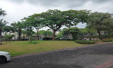 0658 - Disewakan Rumah Cluster The Mansion Pakuwon Indah 2 Lantai 320m