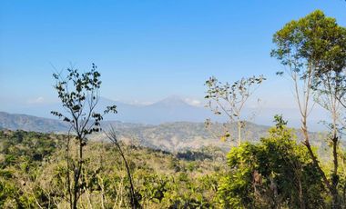 JUAL MURAH PEKARANGAN PINGGIR SUNGAI CANTIK ADA MATA AIRNYA