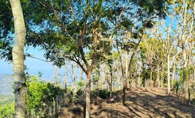 JUAL MURAH PEKARANGAN PINGGIR SUNGAI CANTIK ADA MATA AIRNYA