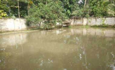 villa dan balong hasil ikan melimpah