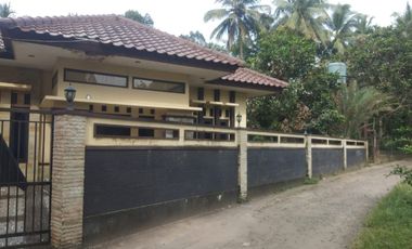 villa dan balong hasil ikan melimpah