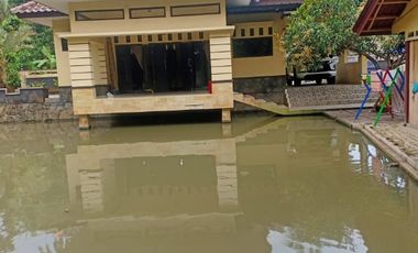 villa dan balong hasil ikan melimpah