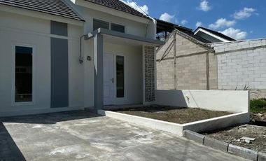 Rumah 1 Lantai Murah