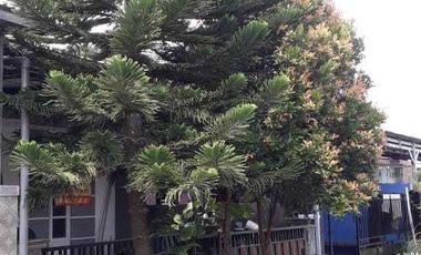 Di Jual CEPAT Rumah di Taruna Residences, BLORA