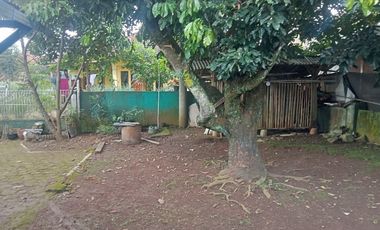 Rumah Siap Huni 304 m, Dekat Pintu TOL 2,5 km, Darangdan, Purwakarta