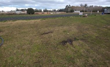 CAMPO EN BATAN