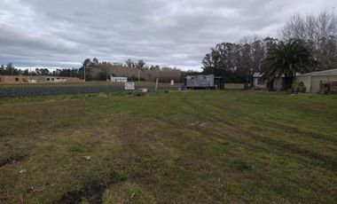 CAMPO EN BATAN