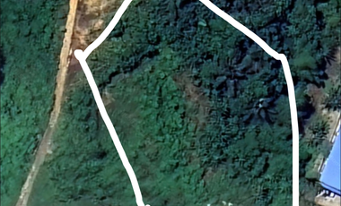 Tanah Pinggir Jalan Cocok Gudang Samarinda Ulu 1999