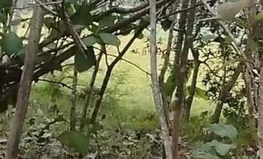 DIJUAL TANAH PEKARANGAN DI NANGGULAN DEKAT JOGJA AGRO PARK JK13121