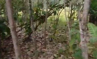 DIJUAL TANAH PEKARANGAN DI NANGGULAN DEKAT JOGJA AGRO PARK JK13121