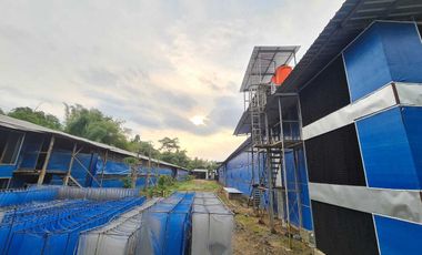 Tempat usaha ternak ayam luas 6000 m2 harga 15 Milyar di Mojo, Kediri