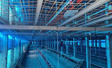 Tempat usaha ternak ayam luas 6000 m2 harga 15 Milyar di Mojo, Kediri