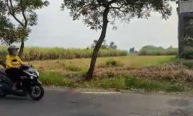 Jual tanah murah d jombang  cocok untuk kantor ,gudang , dll