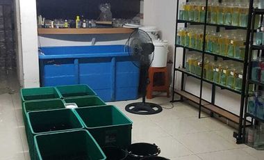 DiJual Rumah Murah Di Gunung Sahari Jakarta Pusat