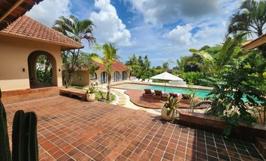 Villa Mewah Spanish Style View Sawah di Kedungu