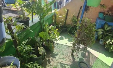 ‼️JUAL CEPAT‼️RUMAH SAMBISARI SAMBIBULU TAMAN SIDOARJO PEMILIK BU BNGT