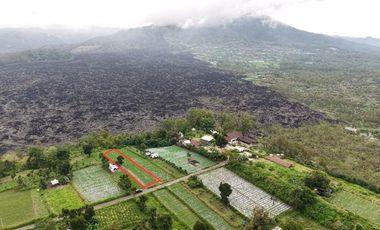 Tanah view Gunung Batur di Kintamani