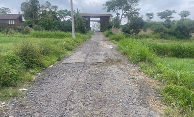 Tanah view Gunung Batur di Kintamani