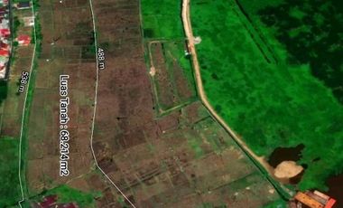 Tanah Adisucipto tepi jalan sampai sungai Kapuas