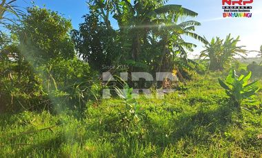 Dijual Tanah Murah di Tepi Jalan Pondoknongko, Kabat - Banyuwangi