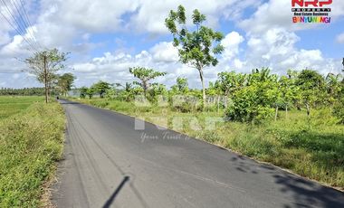 Dijual Tanah Murah di Tepi Jalan Pondoknongko, Kabat - Banyuwangi