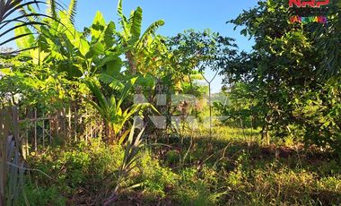 Dijual Tanah Murah di Tepi Jalan Pondoknongko, Kabat - Banyuwangi
