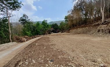 Tanah di Pleret, Akses Mudah, Harga Murah