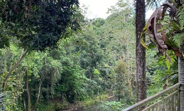 Dijual  Villa di area Sanggulan Tabanan  Bali