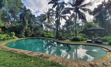 Dikontrakan Pengelolaan Hotel Bintang Di Bali Beserta Izinnya