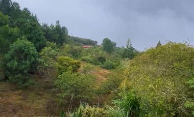 VENTA DE LOTE EN DAPA SECTOR LAS FLECHAS CN W:9305864